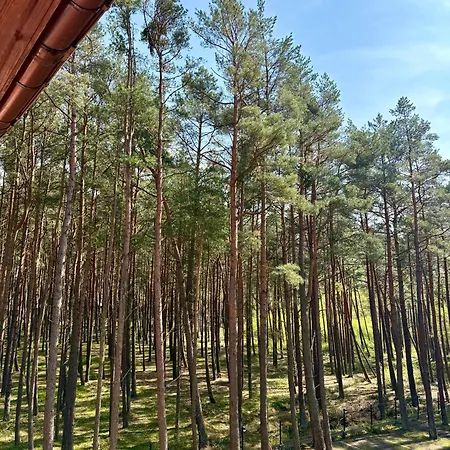 Faleza Bed & Breakfast Leba